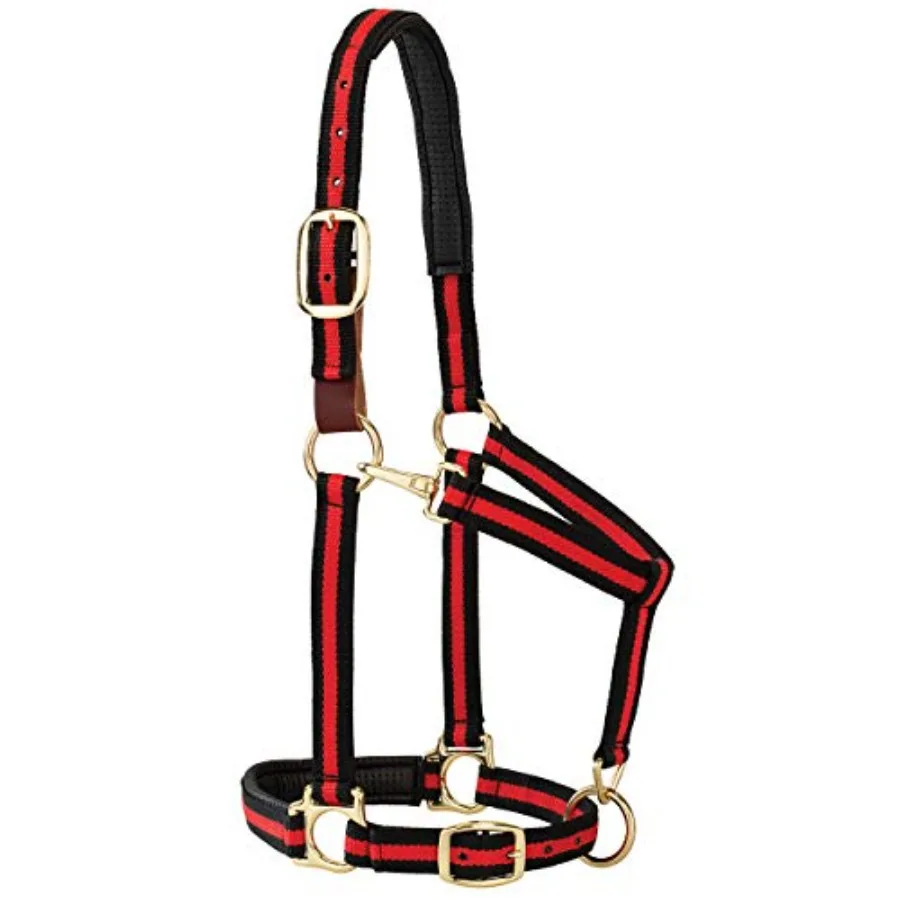

Breakaway Horse Halter, Comfort Foam Padding, Adjustable Chin and Throat Snap Halters for Horses, Equine Tack, Average Size, Re