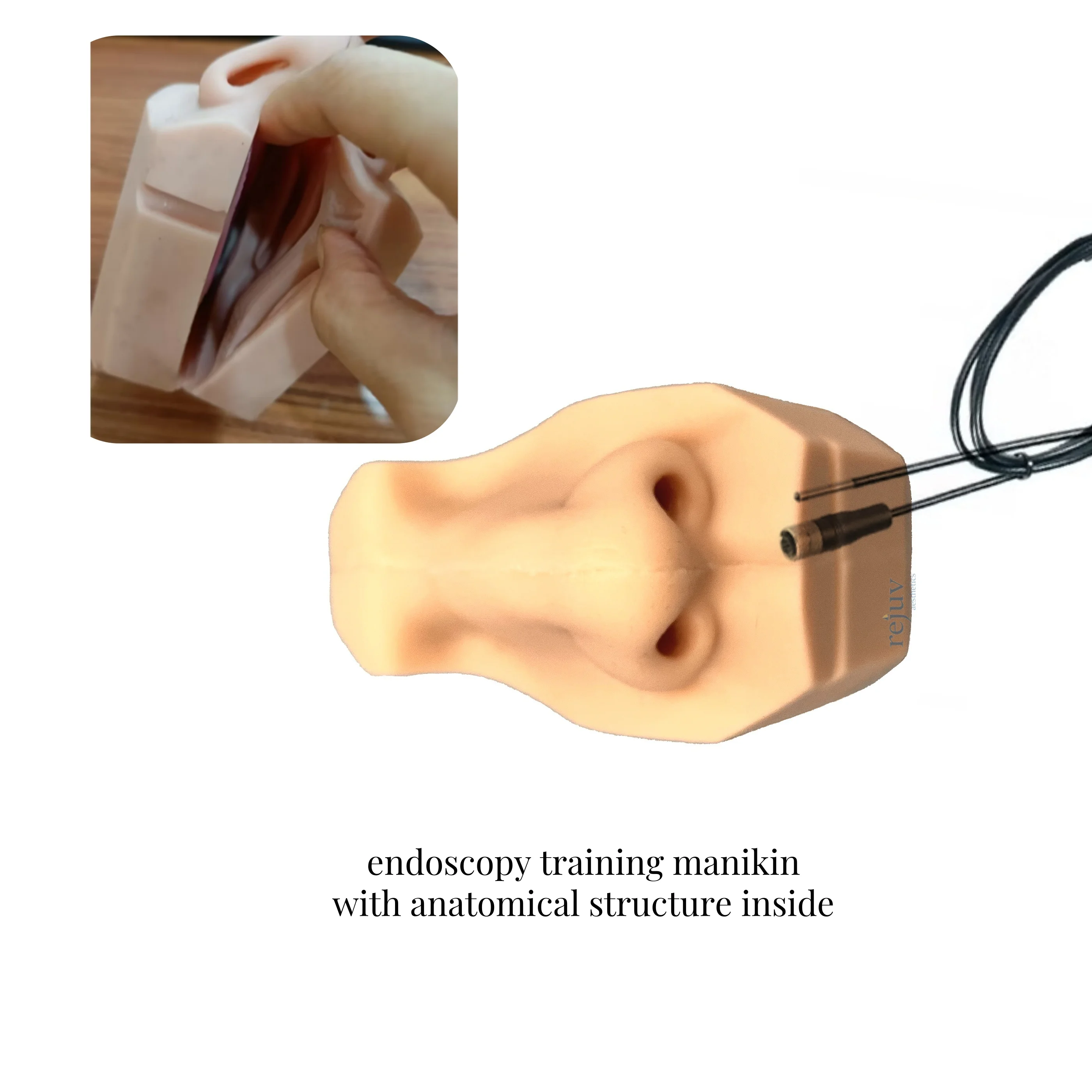 Nose Mannequin with Anatomical Structure Silicone Nose Model Endoscopy Training