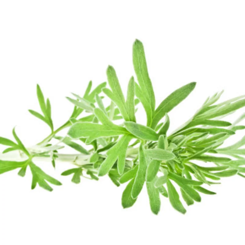 

Harden Steel Spur Main Gear 50T 52T 53T 54T 58T 60T 32Pitch 0.8M 6842 6843 3956 for RC Car 1/10 TRX Slash Stampede Rustler 4x4 V