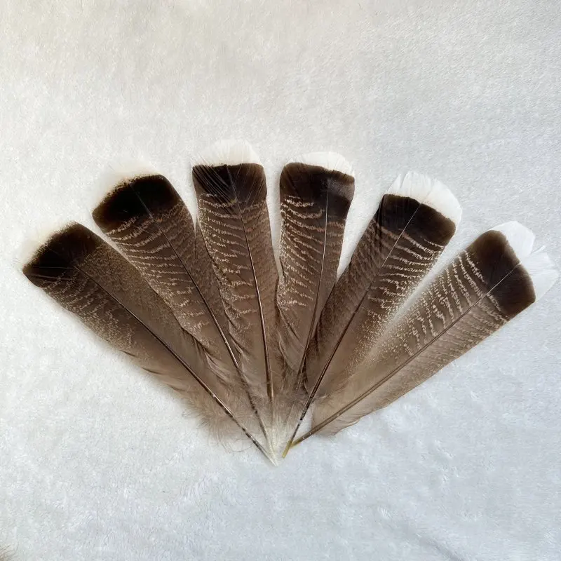 Natural Turkey Tail Feather 25-30CM/10-12inch For Headwear Clothing Hats Party Plumas DIY Carnival Wedding Decoration