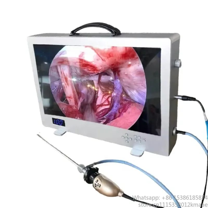 HD All-in-One Medical Endoscopic Camera System with 22