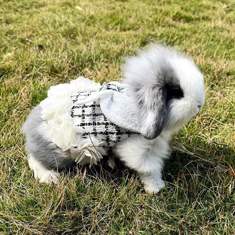 moda-coelho-gatinho-arnes-e-trela-conjunto-ajustavel-pet-arnes-para-animais-pequenos-coelhos-coelho-acessorios-de-caminhada-ao-ar-livre