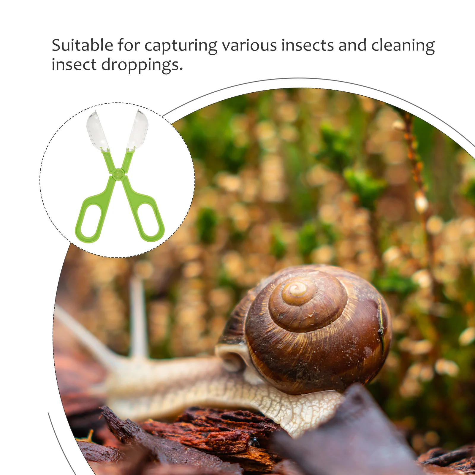 

Cleaning Clip for Reptile Tank Feeding and Poop Scoop Multi-Functional Cage Fish Aquarium Cleaning Tool Aquarium Grabber Tool