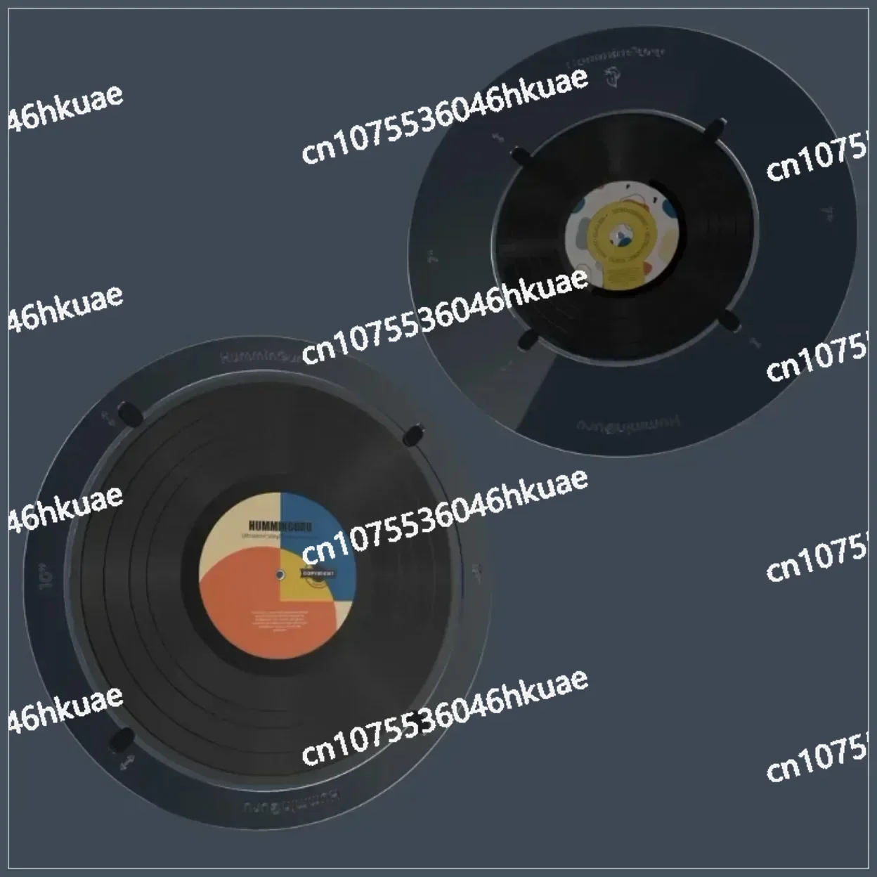 

Ultrasonic Vinyl Record Cleaner - Fully Automatic with Drying Function for Vinyl Records