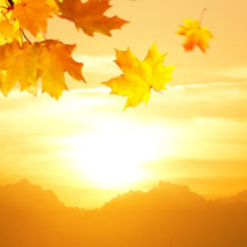 

2,2-дюймовые металлические шины с шестигранными ступицами 12 мм, алюминиевые диски для спортивных моделей CC01 D90 Axial SCX10 Trxs TRX4