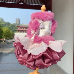 Luxury Handmade Dog Clothing Winter Plush Butterfly Embroidery Chinese Style Dresses For Small medium Dog New Yearl Pet Clothes