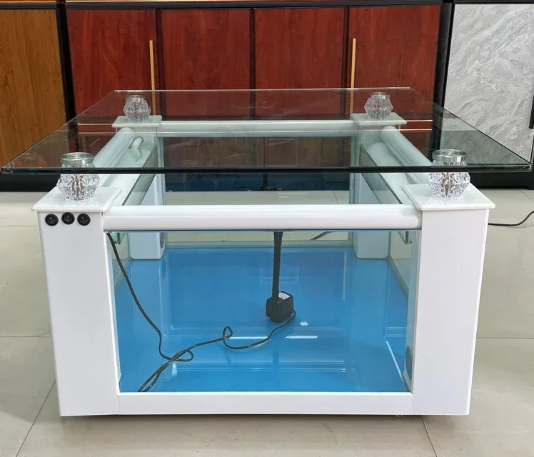 Square coffee table fish tank creative with landscaping ecological turtle tank small glass tank