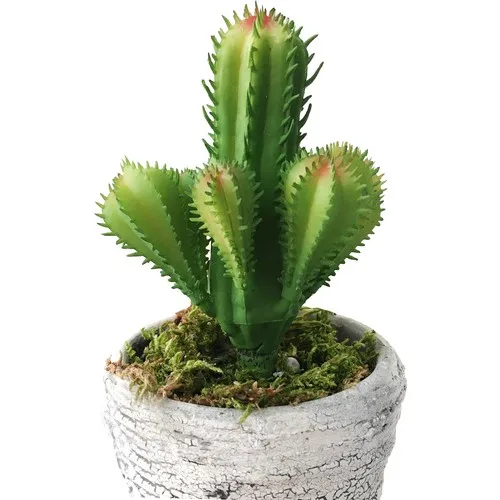 Gift Showcase 3lu Ceramic Helen In Pots Artificial Flower Pointed Cactus Fleshier Plant