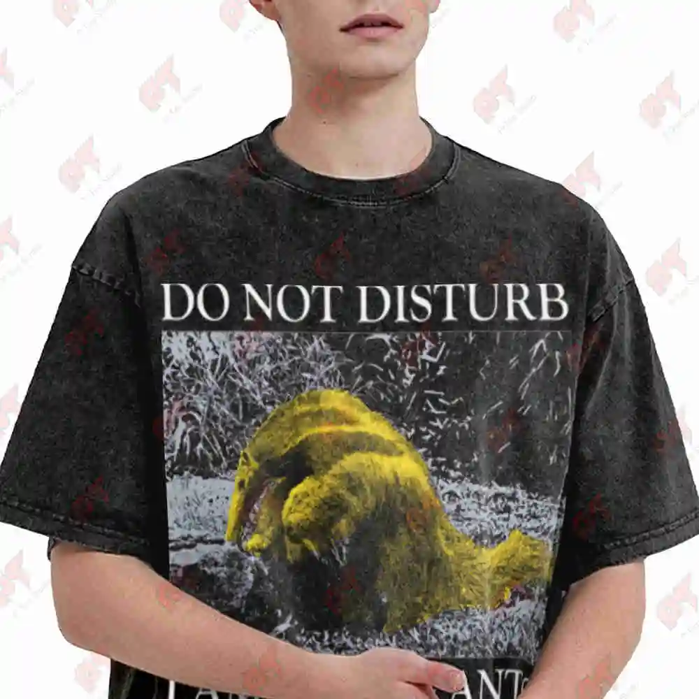 Do Not Disturb Anteater Vintage Washed Tee Pure Cotton T-Shirt