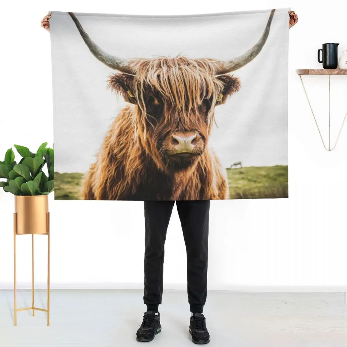 Hairy brown cow in a meadow Throw Blanket Soft Beds Quilt Bed cosplay anime Blankets For Baby Single Blankets