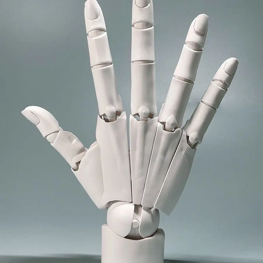 1 to 1 Scale Human Hand Joints Super Articulated Simulation Drawing Reference Ornament Model Articulated Mechanical Hand