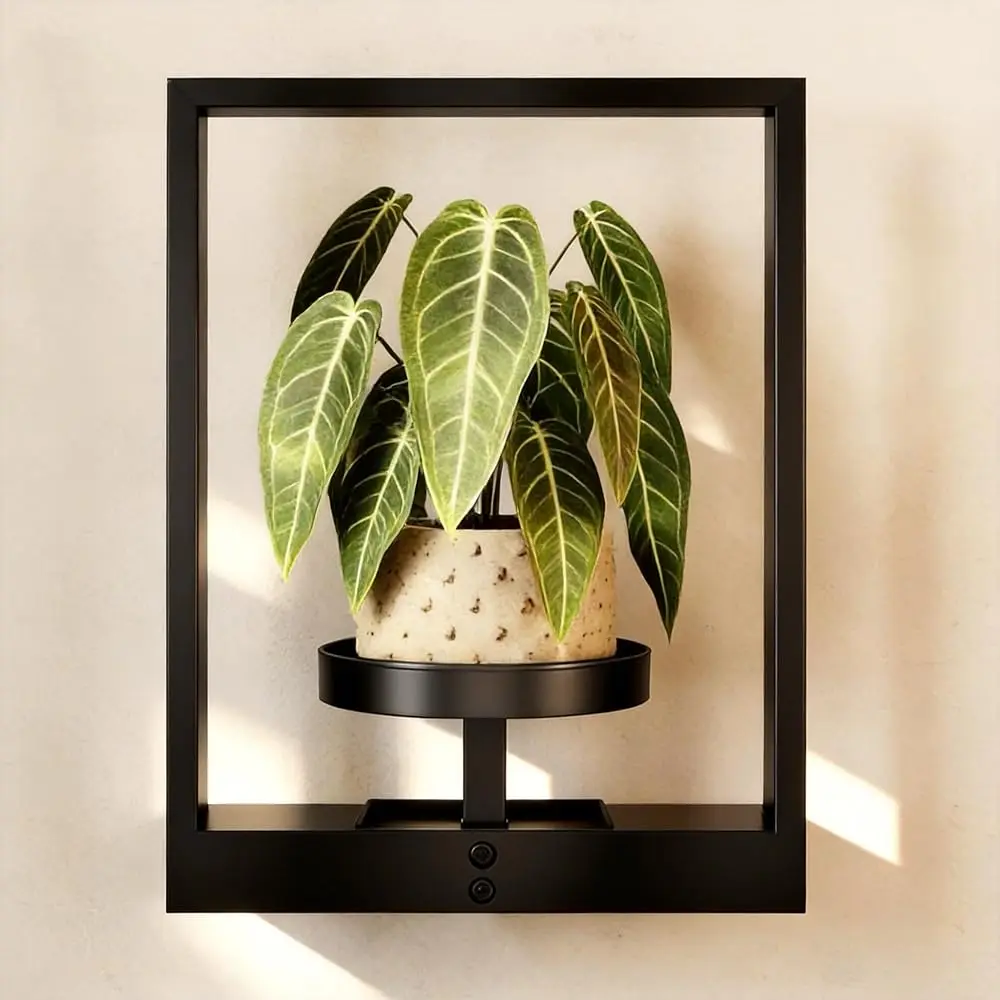 

Настенный держатель для растений, настенные кашпо для комнатных растений, настенная полка для растений, подвесной держатель для растений, настенный декор для растений