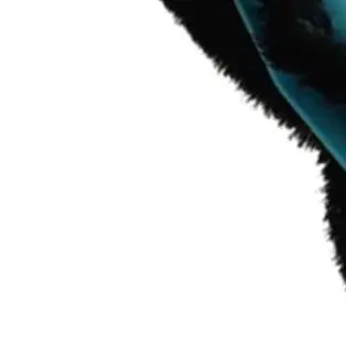 Main Roller Side Brush Filter Kit For Ultenic For T10 Lite Vacuum Cleaner Parts Plastic Nylon Home Cleaning Appliance Parts