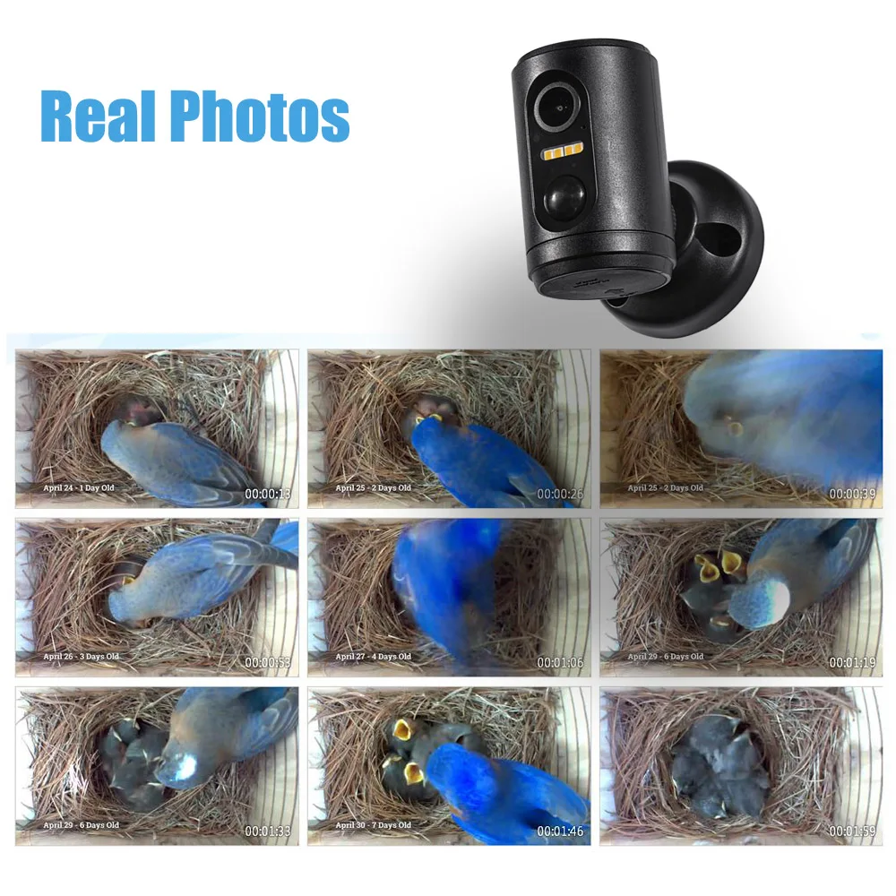 2MP Mini Bird Camera Wifi Battery Animal Video Long Standby Indoor PIR Sensor Detection Wireless Incubator Birdhouse IP Camera