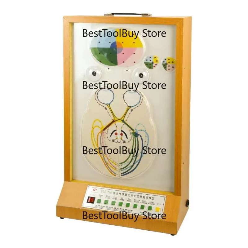 

For Skeleton Model of Pupilla Light Reaction GD/A17109