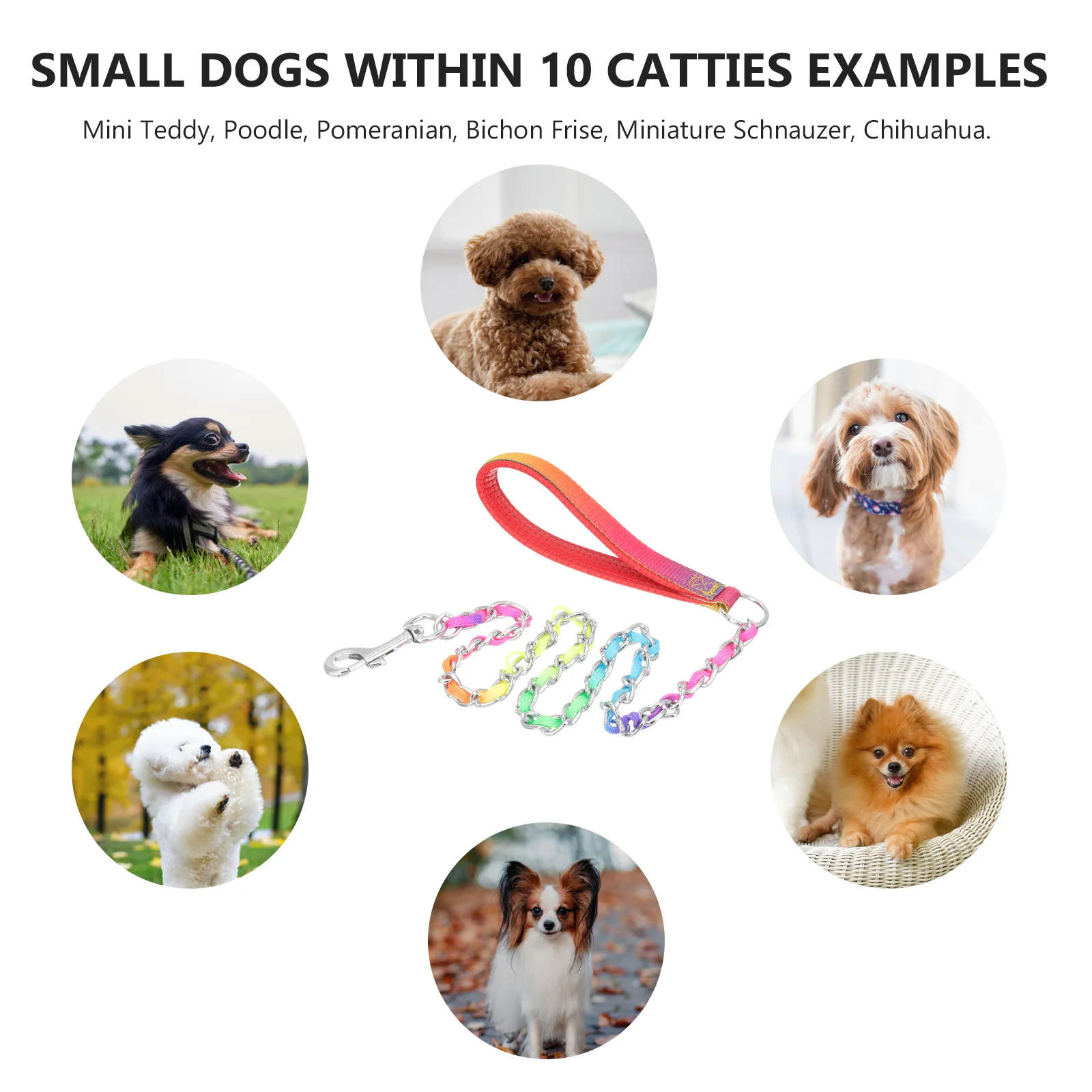 

Durable Dog Leash Wide Hand Chain Release Pressure Professional Pet Accessories for Everyday Use Dog Leash Puppy Accessory