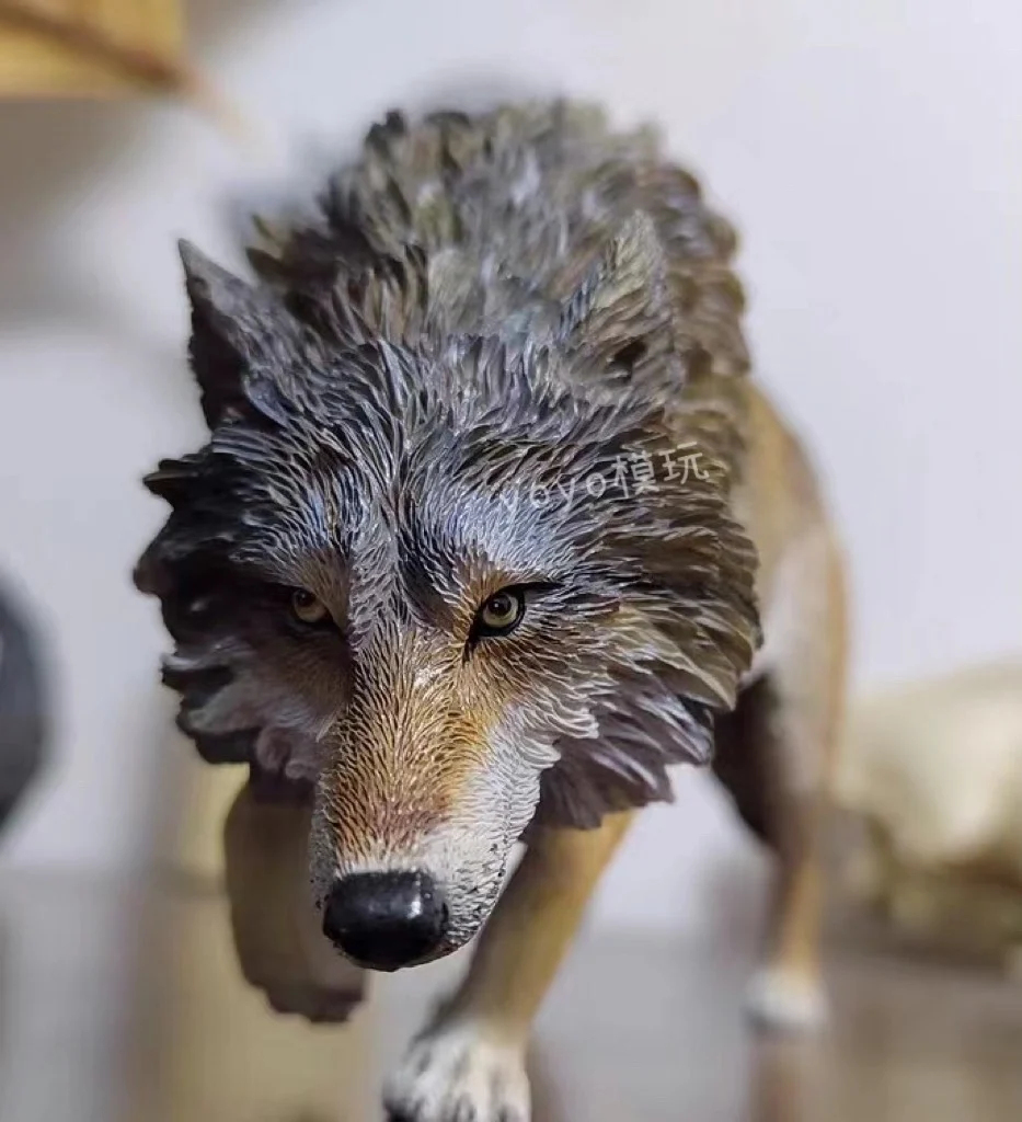 Jxk 1/6 أمريكا الشمالية رمادي الذئب نموذج الاستبداد التعرض الحيوان الشكل جامع Gk مجموعة الديكور الواقعي لعبة مجسمة