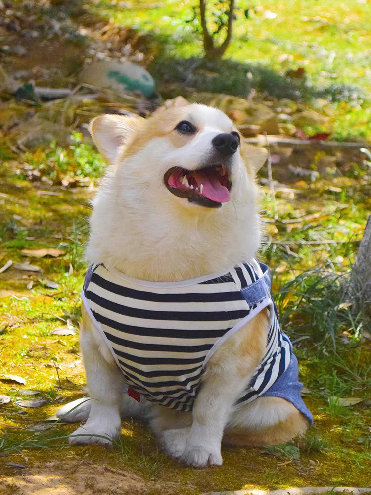 Stripe Akita Corgi Clothes For Dogs Summer XS XXXXL Large Big Puppy Medium Animal French Bulldog Terrier Pet Dresses Jacket Pugs