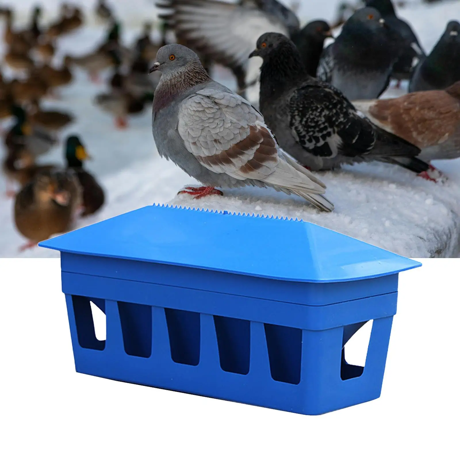 Comedero Gran Capacidad para Palomas y Aves - Desmontable - imagen 5