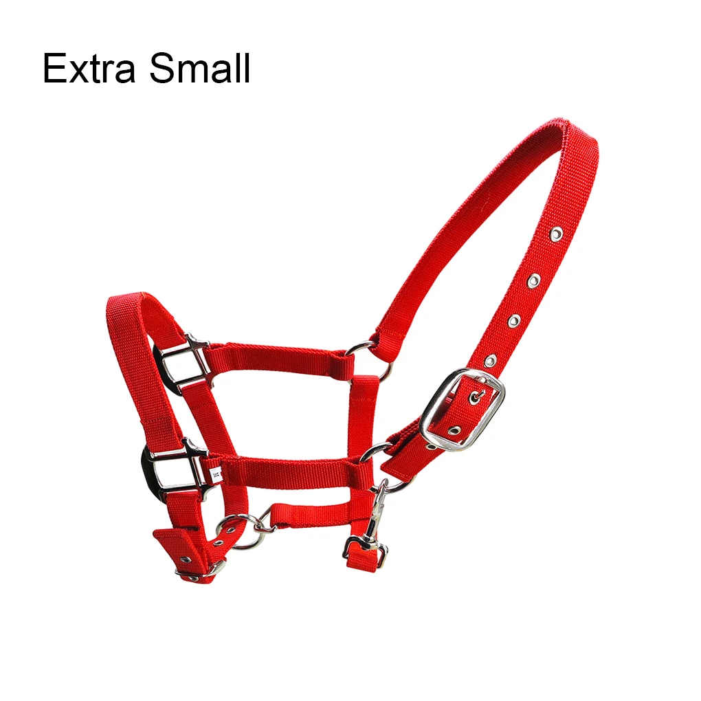 Padded Halter Pony Bridle Head Collar Adjustable Zinc Alloy Great Resilience Protection Horse Supplies Professional Red