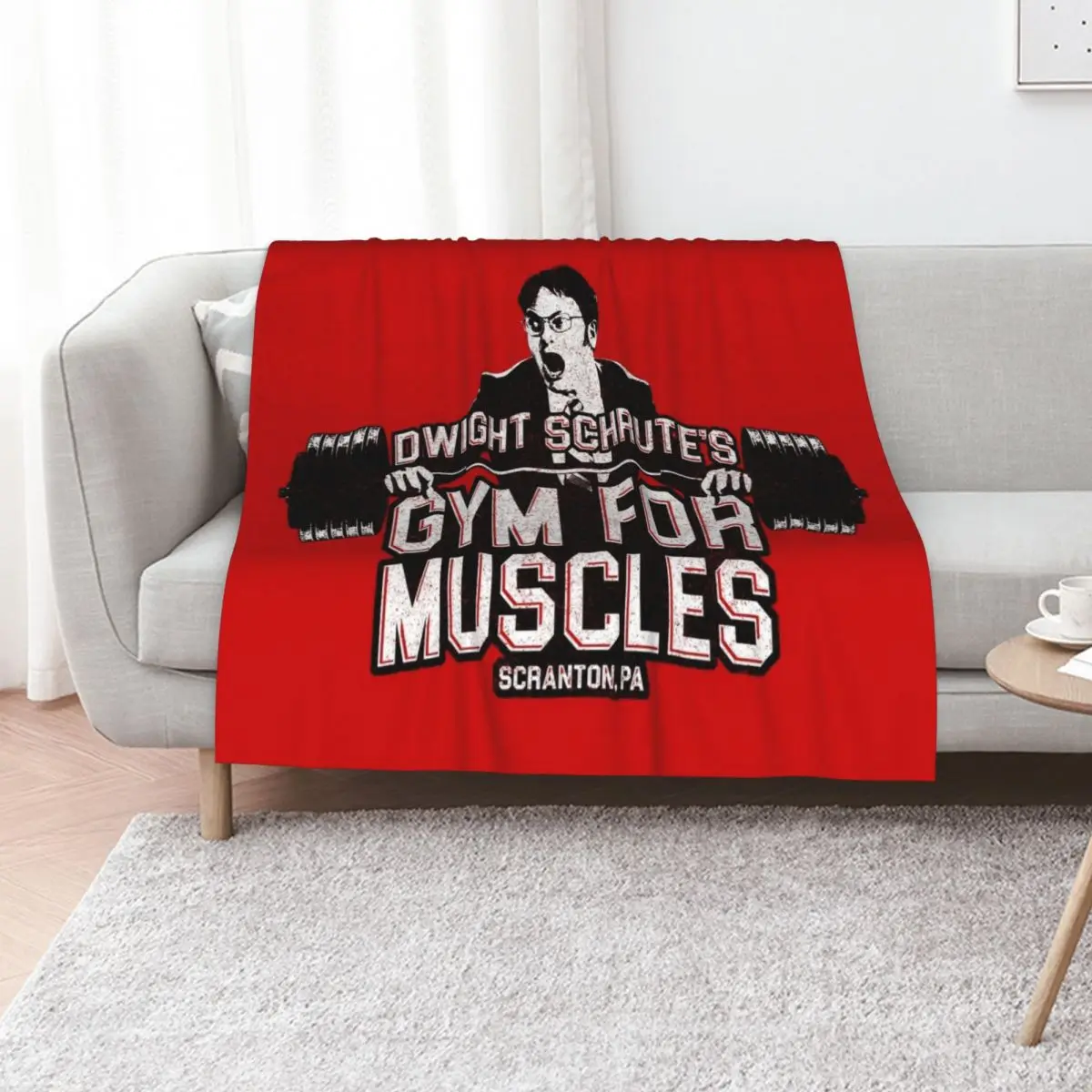 Dwight Schrute's Gym For Muscles Throw Blanket Softest Decoratives Picnic Shaggy Luxury Brand Blankets