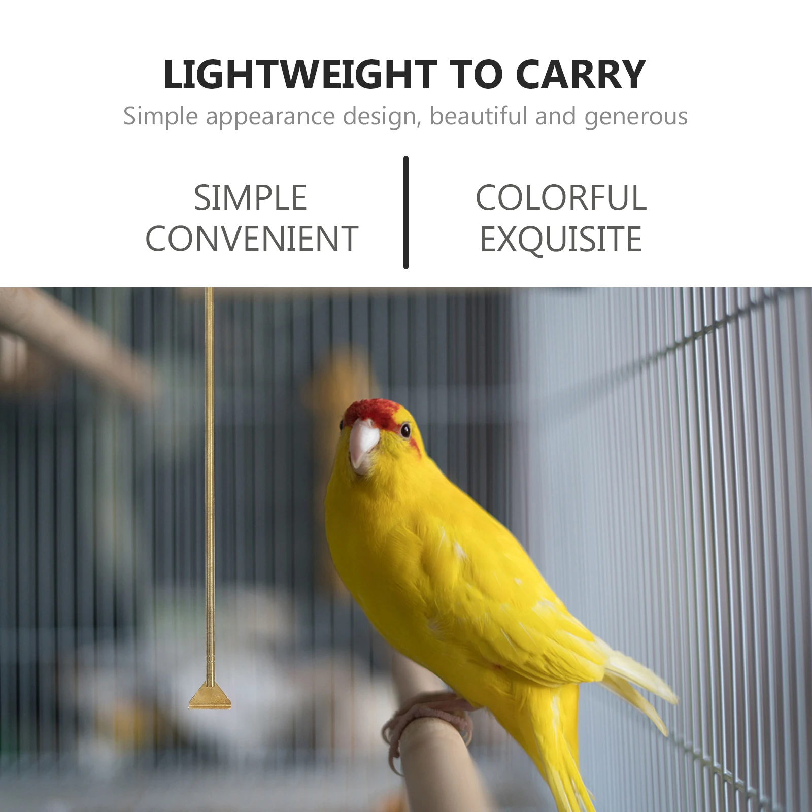 

Bird Guano Cleaning Tools Long Handle Bird Cage Cleaner Brass Pet Cage Tool Hamster Perch Chicken Coop Birdcage Dirt Residue