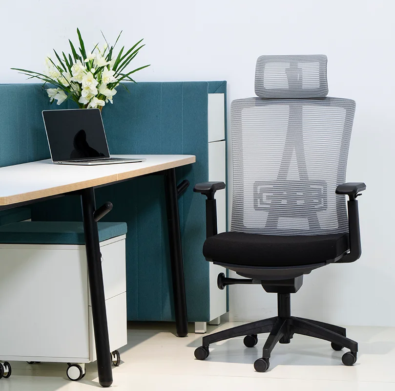 Ergonomic Mesh Executive Computer Task Office Chair Modern Design with Extendable Feature Colourful Fabric Furniture