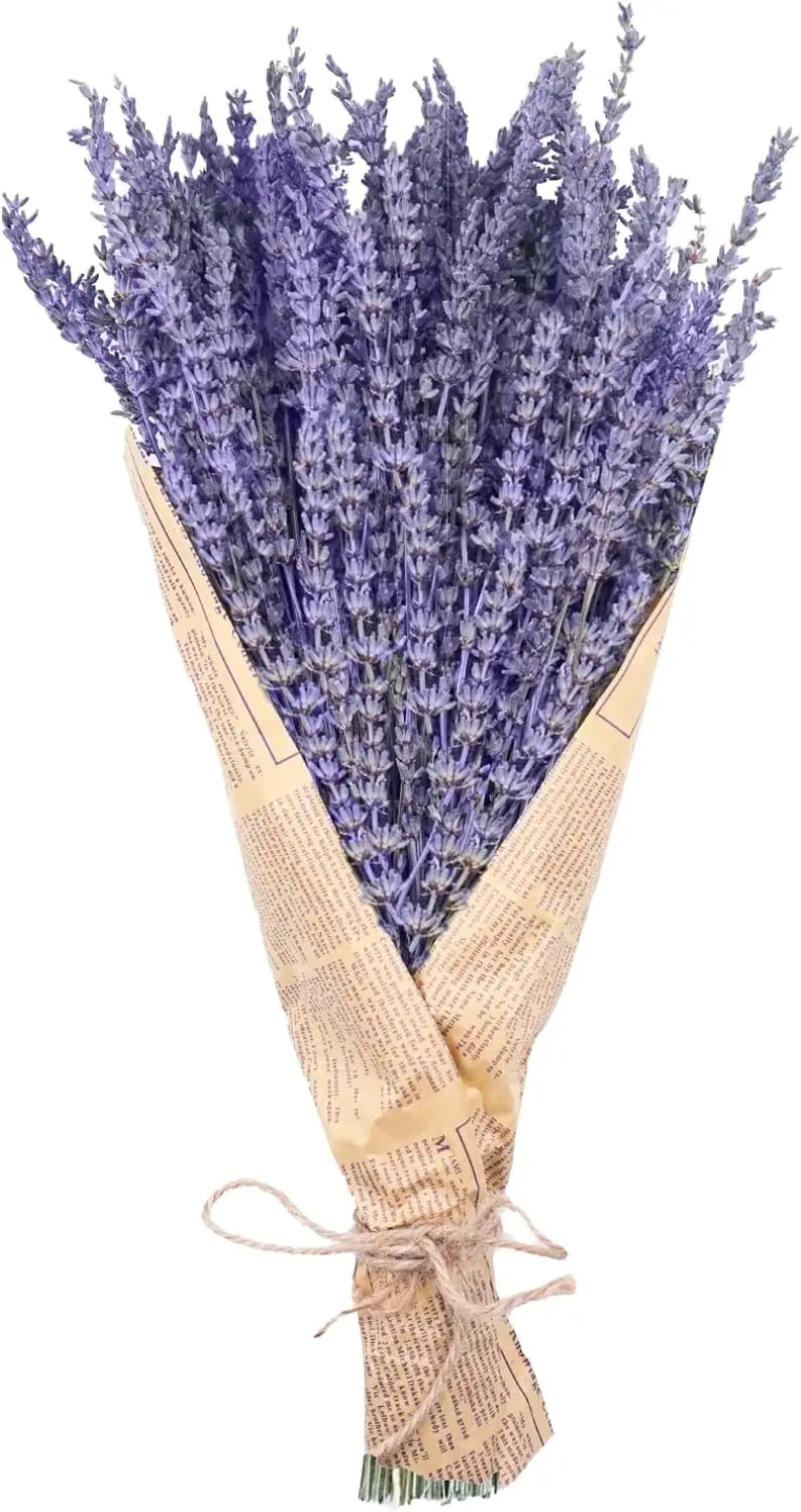 

100PCS Dried Lavender Bundles, Natural Dried Lavender Flowers 15-17" for Shower Home Fragrance Weeding Crafts Decor