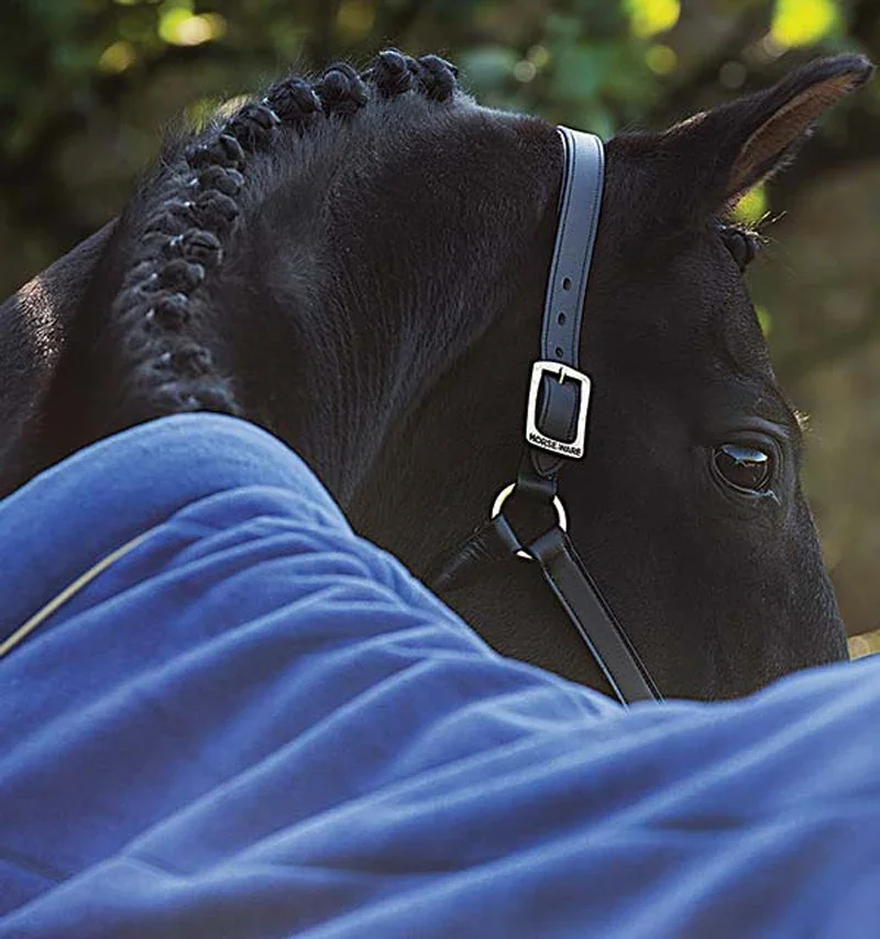 Alfombras cálidas ecuestres equinas, Alfombra de caballo de forro polar estable transpirable, equipo de caballo, alfombras personalizadas, venta al por mayor