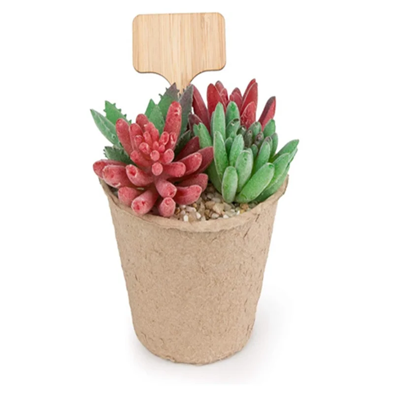AT16 50PCS T-Type Plant Labels Eco-Friendly Wooden Plant Tags Markers for Bonsai Seed Potted Herbs Flowers Tool