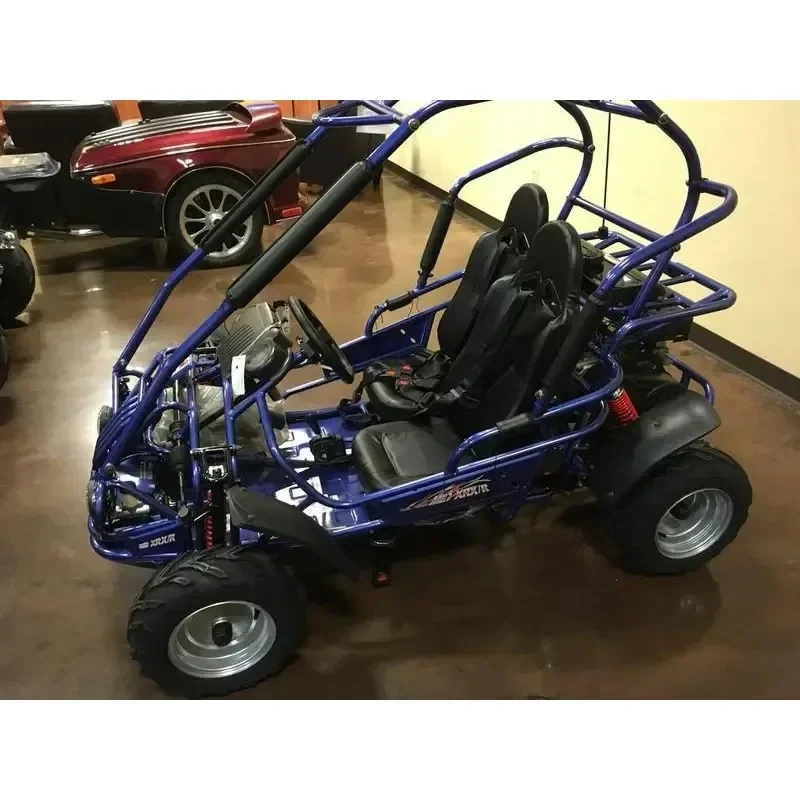 Highper 1000W 1500W 48V 60V Electric Gokart, Carting Car Karting, 2 Seat Cheap Go Karts for Sale