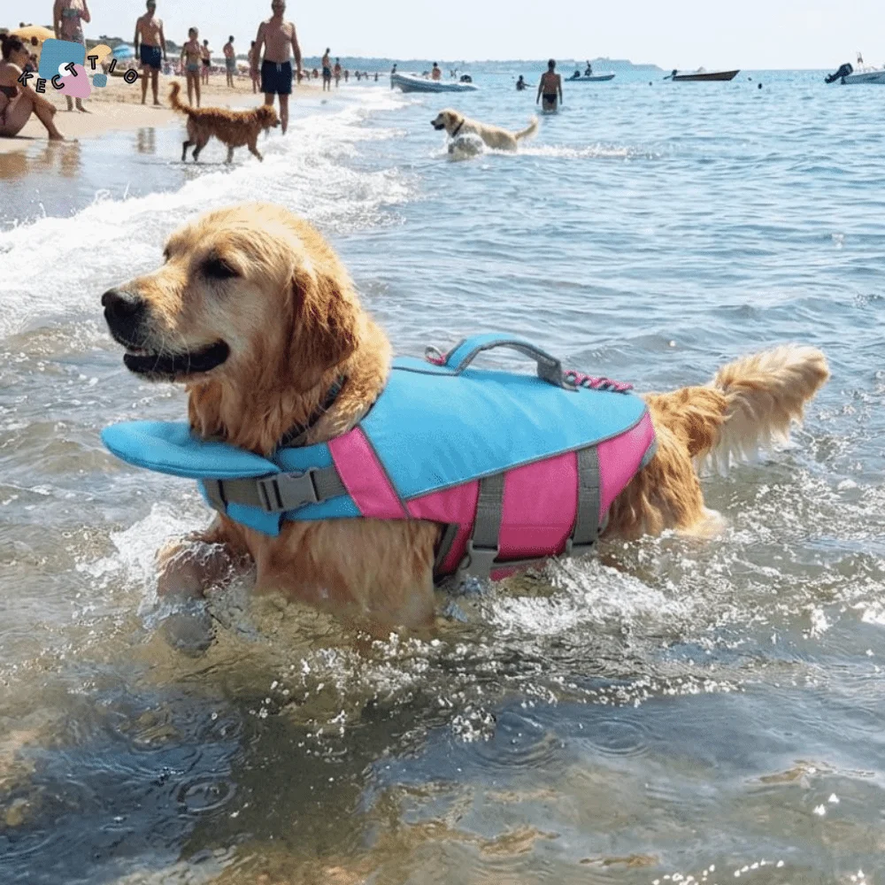 

Светоотражающий спасательный жилет для собак с регулируемыми лямками, дышащий, безопасный, с высокой плавучестью, для плавания