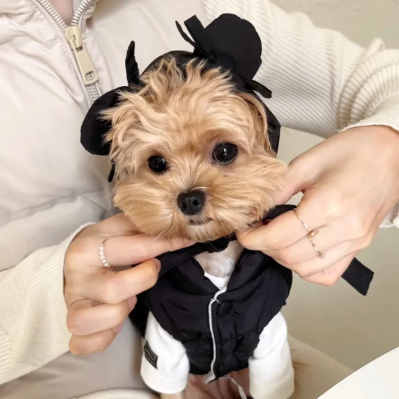 Thumbnail 4 - #40 Best Pet Apparels to Buy In 2026