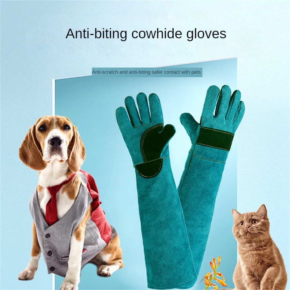 

Pet Supplies Anti-scratch Anti-bite Green Cowhide Material Anti Bite Gloves Wear Resistance High Toughness All Yards