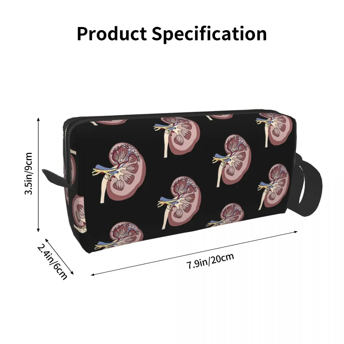 신장 해부학 메이크업 가방 화장품 정리함 보관 Dopp 키트, 세면 용품 화장품 가방, 여성용 뷰티 여행 필통