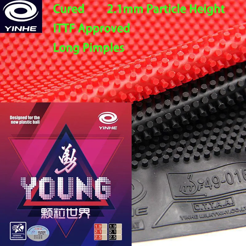 Yinhe Young Cured T… - image