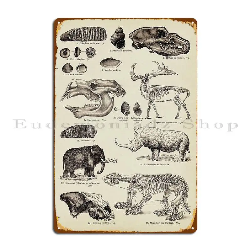 Vintage Prehistoric Animals Skeletons And Fossils Leallurevintage Metal Signs Wall Plaque Wall Decor Cave Design Tin Sign Poster