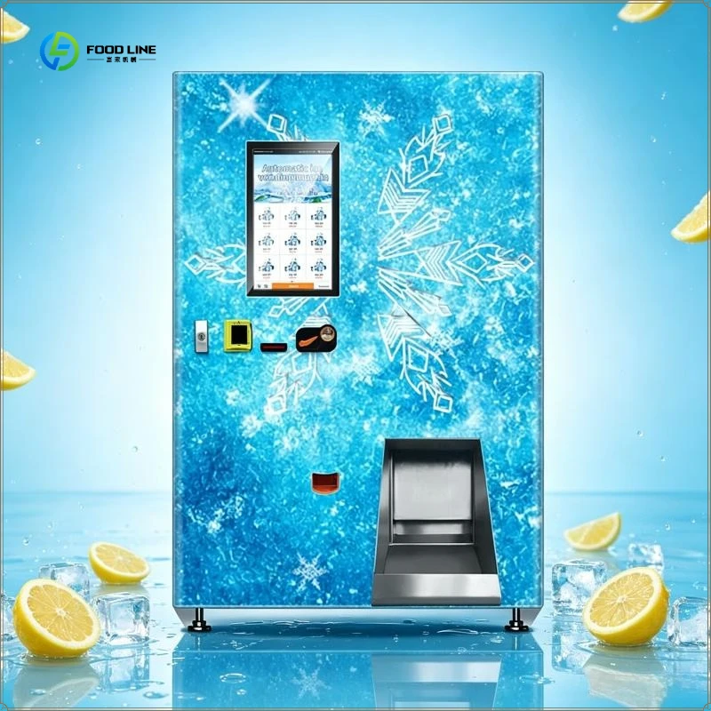 Outdoor Coin Operated Commercial Ice Cube Make Dispenser Ice Vending Machine Big Ice Machine Vending for Sale FL Customized