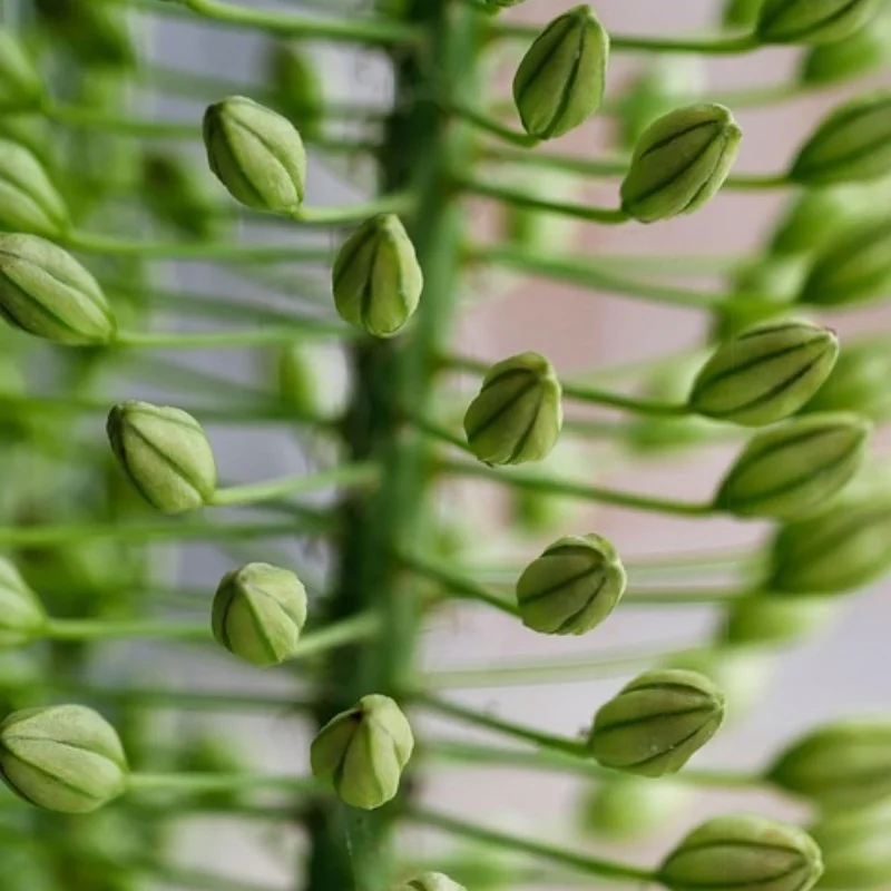 

4 шт., 120 мм, 1,9 дюйма, металлический обод колеса с бисером, набор резиновых шин для 1/10 RC гусеничного автомобиля Trxs TRX4 RC4WD D90 Axial SCX10 II III MST