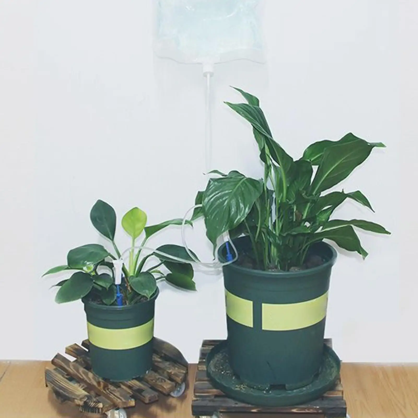 3.5L Plant IV ถุงน้ําระบบรดน้ําพืชอุปกรณ์ Automatic Plant Waterer Self Watering IV หยดพร้อม Alow ปรับได้