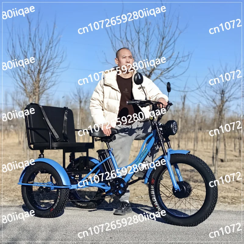 

750W 48V Powerful 3 Wheel Electric Bike For Adults Electric Bicycle Mountain Removable Lithium Battery With Passenger Seat