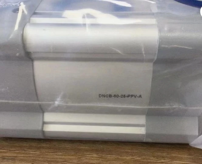 

Brand New DNCB-80-25-PPV-A Expedited shipping