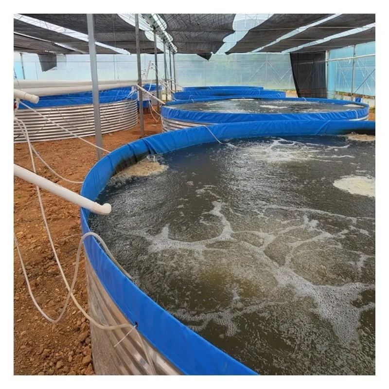 Fish Farming Kit Outdoor Bac Farming Basin Halls Saul Poisson Plastic Reservoir Fish Farming