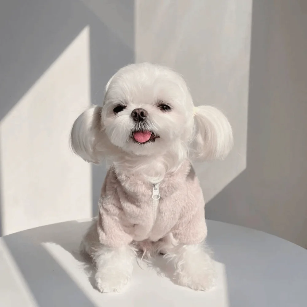 

Fashion Rabbit Fur Dog Warm Coat Soft Thickened Pet Plush Jackets Comfortable Winter Dog Clothes Walking