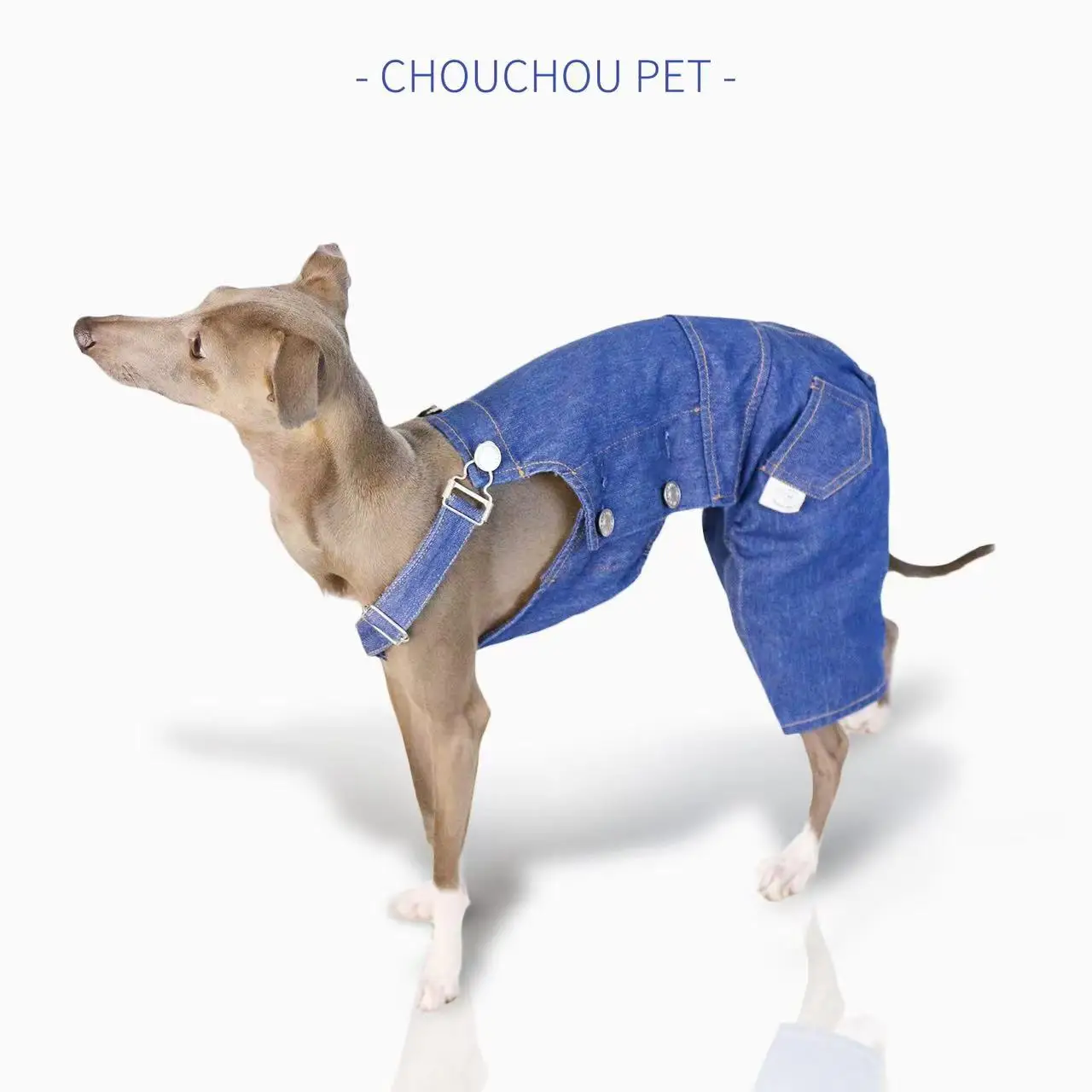 Italian greyhound denim overalls retro classic leg protection cloth fashionable whippet adjustable pants