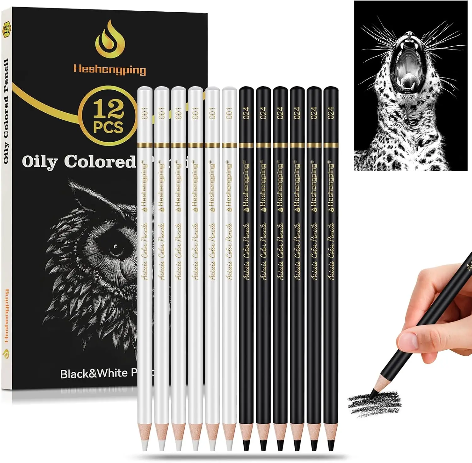 

12-Pack Black & White Oil-Based Colored Pencils for Artists, Beginners - Smooth Blending & Shading