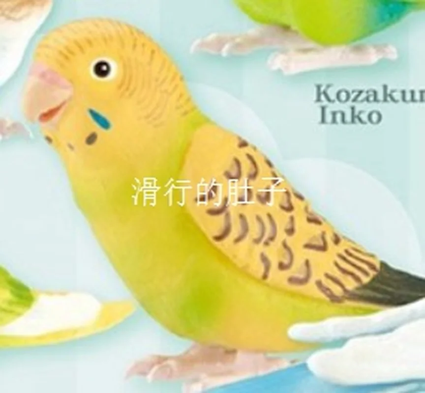 [재고 있음] 일본 샤인-G 긴 꼬리 앵무새 '귀여운 삶' 피규어 - 가샤폰 수집품 Decorb 사랑스러운 새 테마 장난감