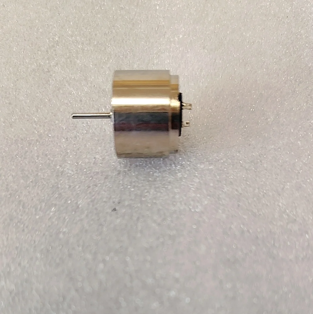 10pcs 2216 Swiss Motor Shaft 12mm Rotary Tattoo Machine Engine Bishop Tattoo Rotary Shader Liner Maquina De Tatuagem Bishop