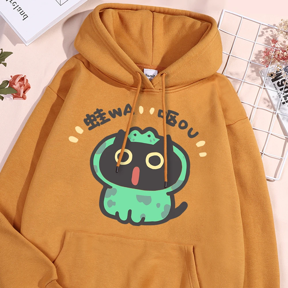 Role Playing Frog Cat Print Men Women Hoodie Autumn Street Pullover Harajuku Style Casual Streetwear Fleece Loose Hoody Couple