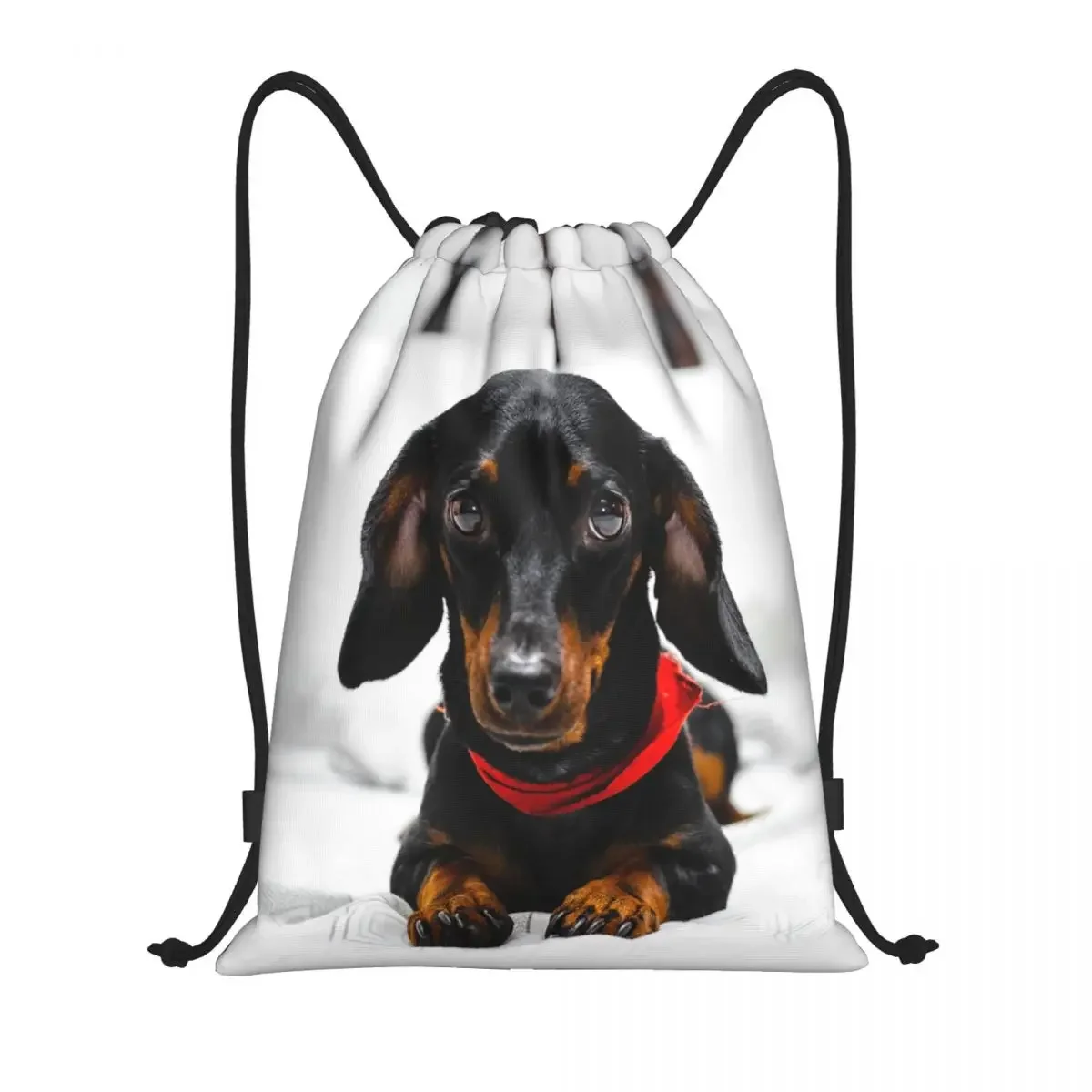 Mochila com cordão com Dachshund Dog Print para homens e mulheres, saco bonito para esportes, saco de ginástica, salsicha Wener, texugo, saco de compras